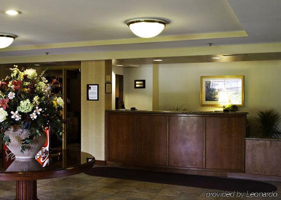 Holiday Inn Baltimore BWI Airport By Ihg Linthicum Interior photo